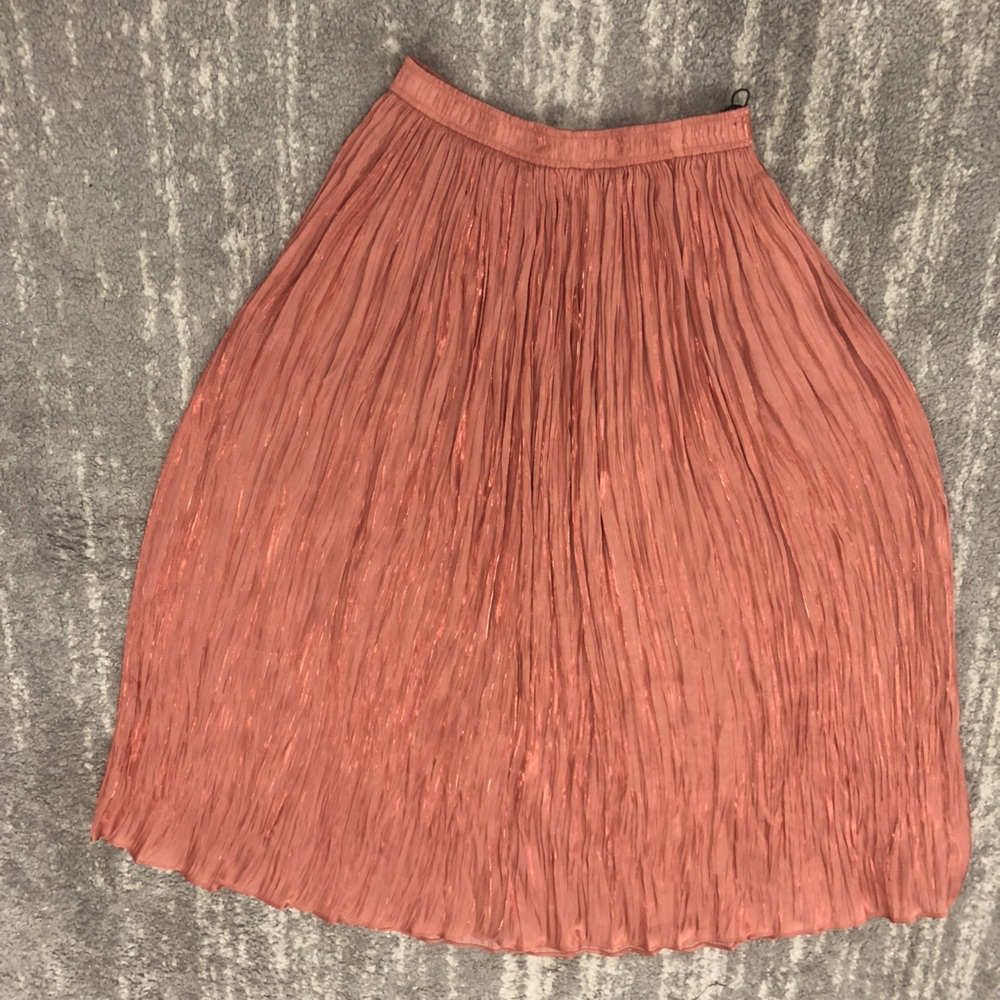 Stunning midi zara skirt size xs